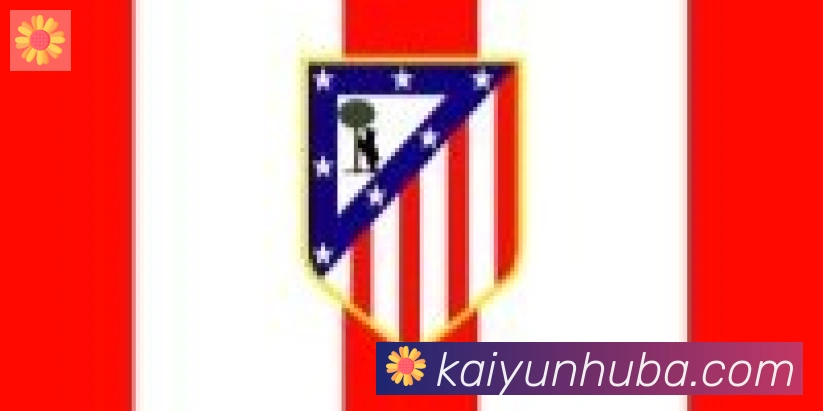 ky开云合作伙伴