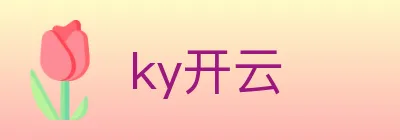 ky开云 logo